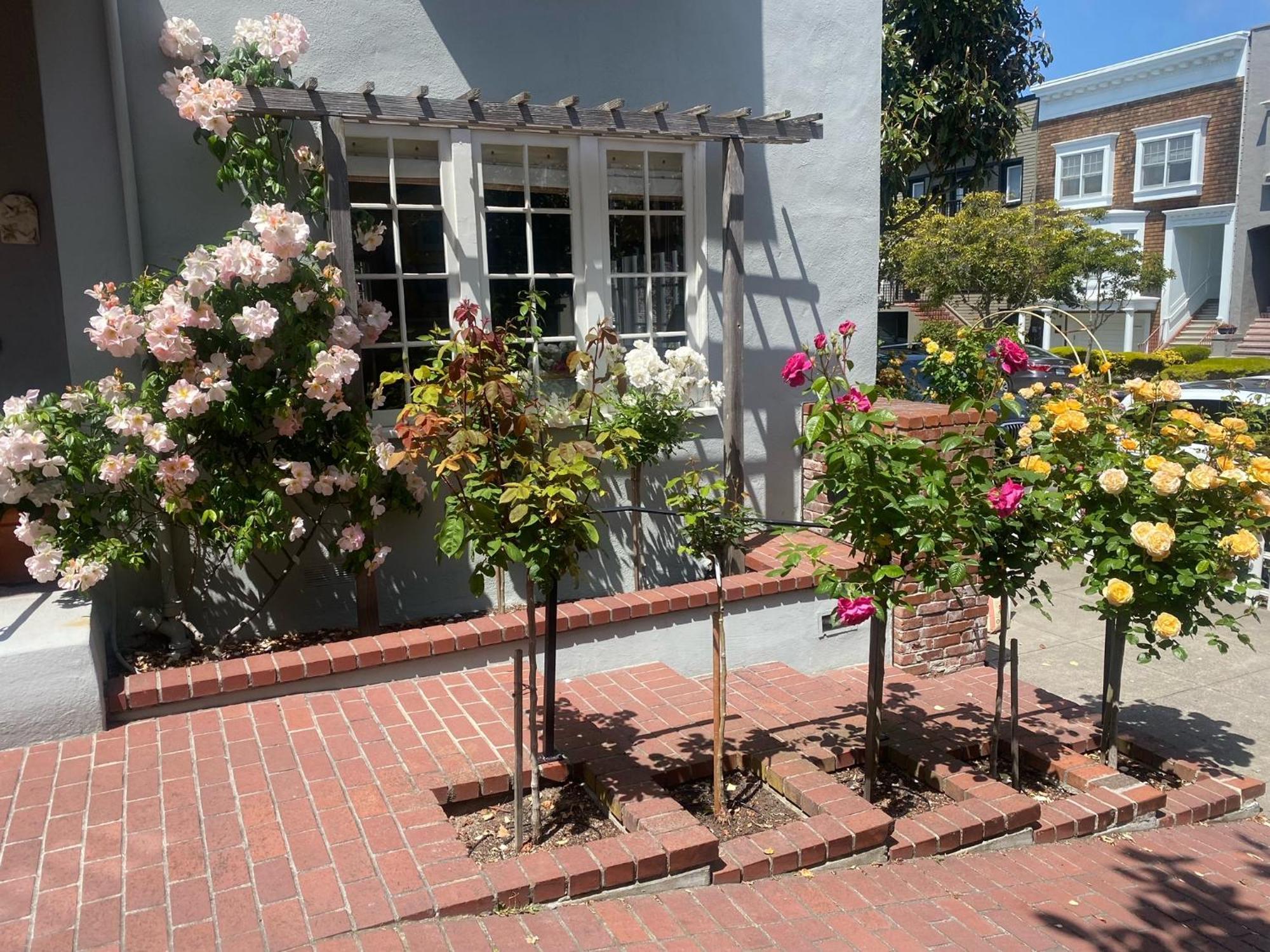 My Rosegarden Guest Rooms San Francisco Exterior photo